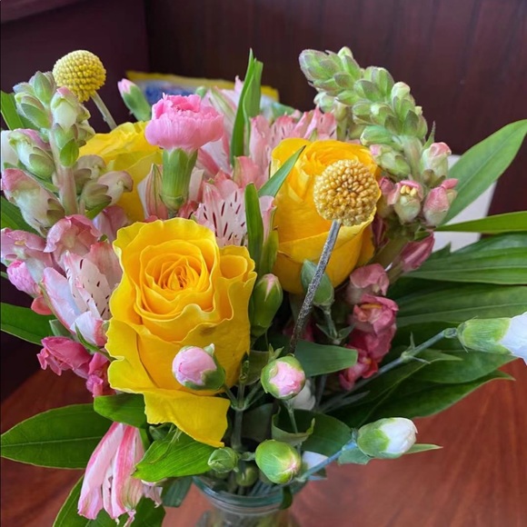 Meet your Posher, Sandy - Picture 1 of 1